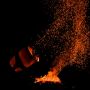 14_nov_2009_017