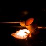 14_nov_2009_020
