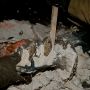 14_nov_2009_022