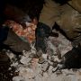 14_nov_2009_023
