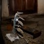 14_nov_2009_027