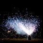 14_nov_2009_039