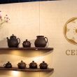cepli_rl_2011_006
