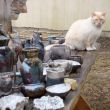 cepli_raku_12_024